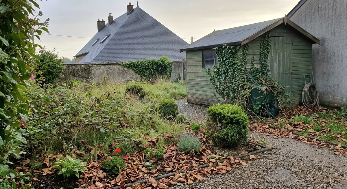 Avant : jardin envahi de ronces et de feuilles